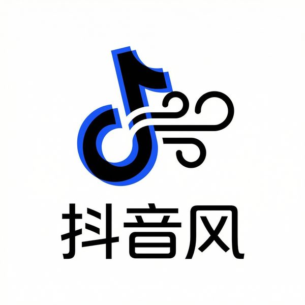 抖音风